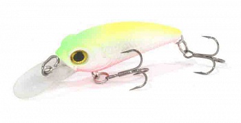 ������ Kutomi KAWA SPECIAL 40SP  F001